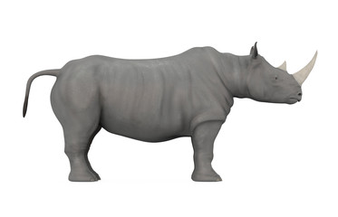 Obraz premium Nosorożec na białym tle