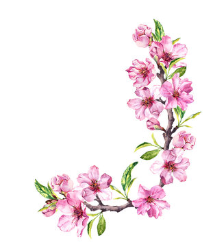 Spring pink flowers - cherry blossom branches. Corner composition. Floral watercolor