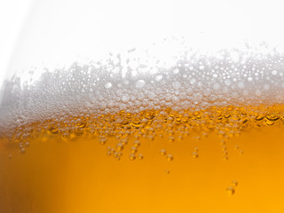 Foamy Beer on White Background