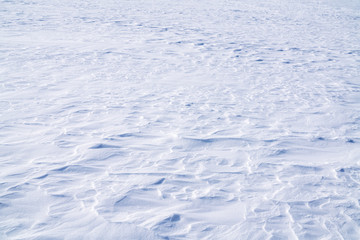 Field, covered with pure snow in the winter season