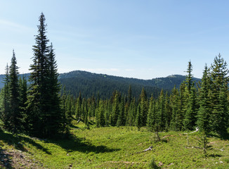 Beautiful view of mountains meadow in summer season Sunny weather blue sky and green forest background