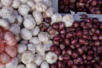 Close-up fresh red onion and garlic