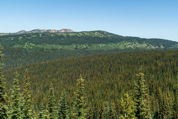 Beautiful view of mountains meadow in summer season Sunny weather blue sky and green forest background