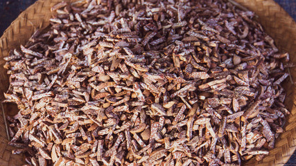 chopped up areca nuts fruit of the areca palm also known as betle nuts