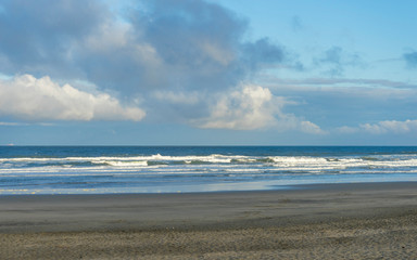 Beautiful green grasses and sand dune at Ocean Beach in San Francisco,CA