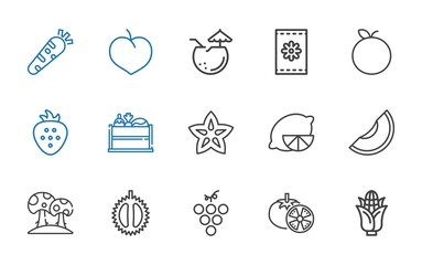 vegetarian icons set