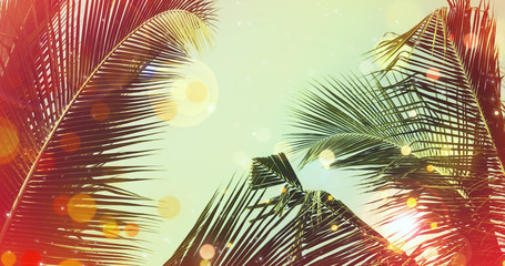 Coconut palm tree under blue sky. Vintage background with bokeh and flares. - 246097058