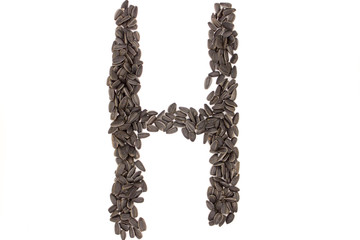 Alphabet from black sunflower seeds isolated on white background