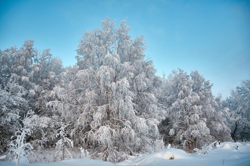 Beautiful Christmas landscape