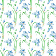 Iris flowers vector seamless pattern flowered background of botany texture