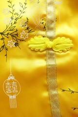 Close up knot button of traditional chinese dress.