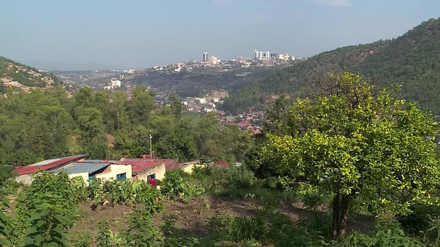 Remote view of downtown Kigali with the branches of a tropical tree in the foreground - Rwanda. Slow zoom in.