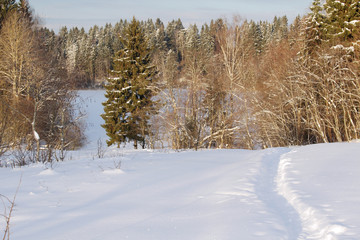 Winter forest and a forest lake covered with ice and snow
