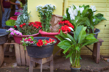 Fototapeta na wymiar street flower business in local market place of Philippines
