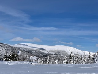 Frosty beautiful day in Krkonose, trees covered with white snow against the winter landscape.