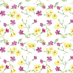 Wild carnation and camomile seamless