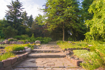 Park with green coniferous trees, flower beds with flowers and sidewalk of decorative stone