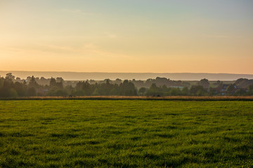 Fototapeta premium The sunset over wheat field in Germany