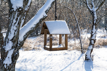 nesting box or feeding trough in winter snowy park