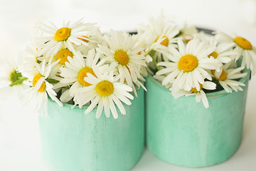 bouquet of delicate fresh spring daisies in green vase