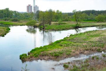 a small river in the summer in a park with green grass on the banks