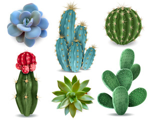 Cactus Succulent Realistic Set - obrazy, fototapety, plakaty