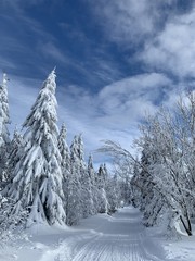Winter landscape with a modified cross-country ski trails in Krkonose mountains, Czech Republic.