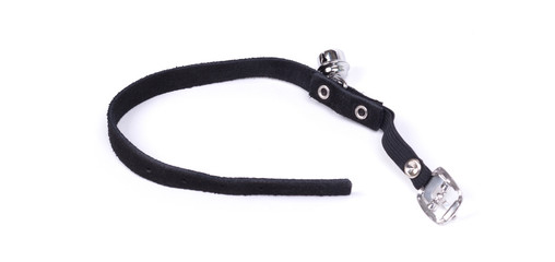 Fototapeta premium Collar cat, isolated