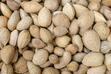 Obraz premium the texture of almonds in the shell