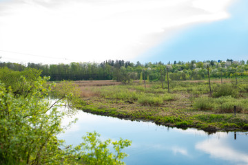 a small river next to a green field and a forest in summer