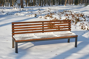 Park bench in the woods winter time