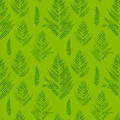 Seamless pattern with green fern leaves