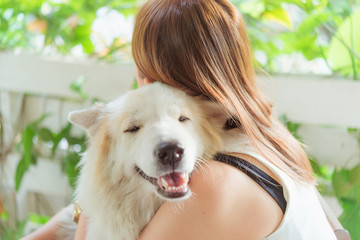 Woman hugging her dog friendly pet closeup big dog,happiness and friendship. pet and woman. © grooveriderz