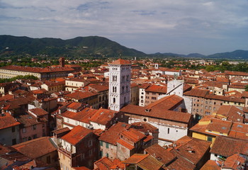 Aerial view from the Clock Tower of Lucca, Tuscany, Italy