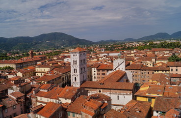 Aerial view from the Clock Tower of Lucca, Tuscany, Italy