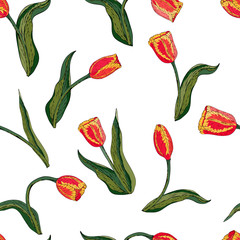 Vector floral seamless pattern whit red tulip. White background