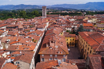 Aerial view from the Clock Tower of Lucca, Tuscany, Italy