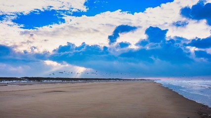 beach, sun, seagulls