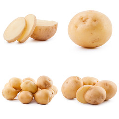 Collection of potato isolated on white background