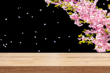 Cherry blossom tree in spring. Empty table top for product display montage.