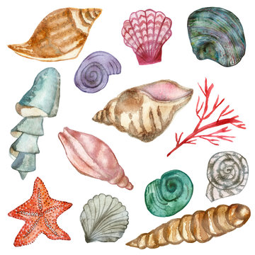 Set of sea shellfish painted in watercolor isolated on white background. Hand painted for beautiful invitation design, greeting cards, posters and bags. Starfish and red corals.