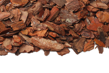 Tree bark pieces isolated on white background. top view