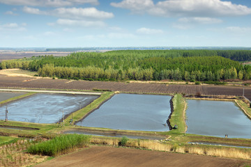 fish pond hatchery agriculture rural landscape