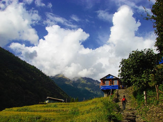 Himalayan landscape with beautiful mountain scene and clouds. Rural small lodge with rice field and traveller going to upstairs. Trekking route to Annapurna - Nepal, Himalaya.