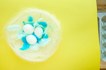 colorful background for easter, eggs in a nest with blue feathers