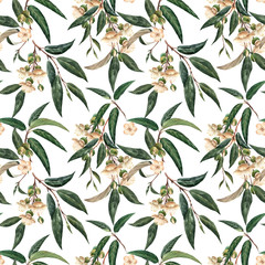 Watercolor durian tropical seamless pattern
