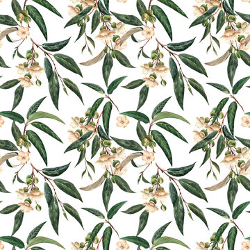Watercolor durian tropical seamless pattern