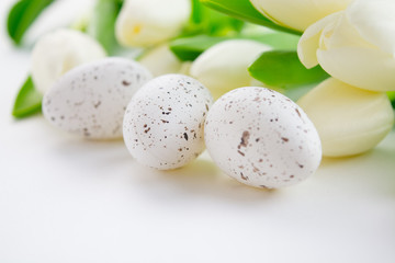 Easter eggs and white tulips on a white background