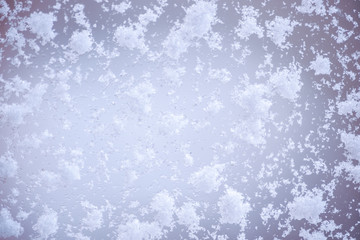 Large snow flakes on the window, macro, close up.