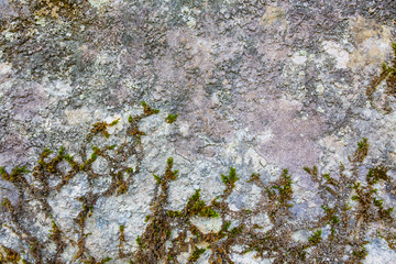 Closeup - beautiful structure of an ancient rock texture formation. Concept of natural background...